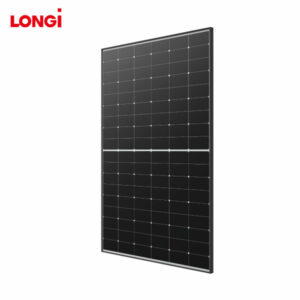 Longi Solar Panel